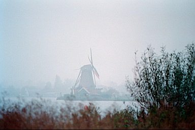 [foto November (size s)]