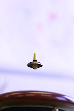 [foto DSC_2199 (size s)]